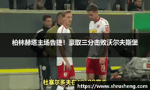 bsports官网入口