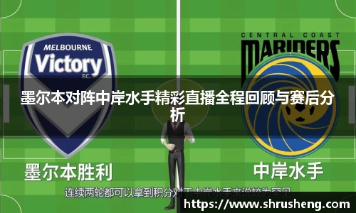 B体育bsports